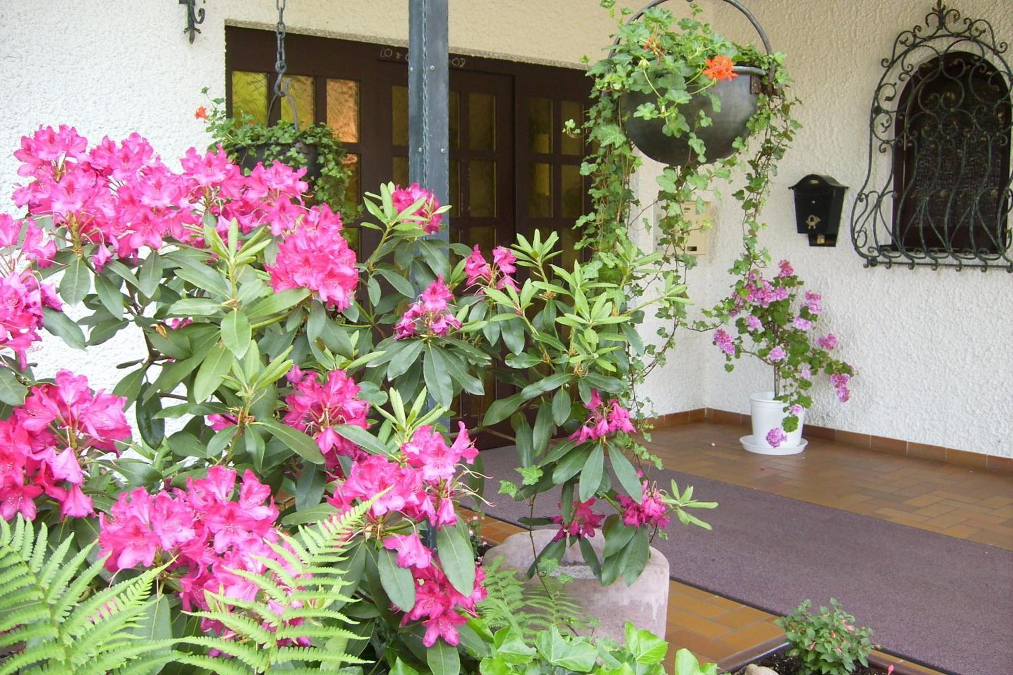Hotel Muehlenthal Gmbh Schwalbach Bagian luar foto